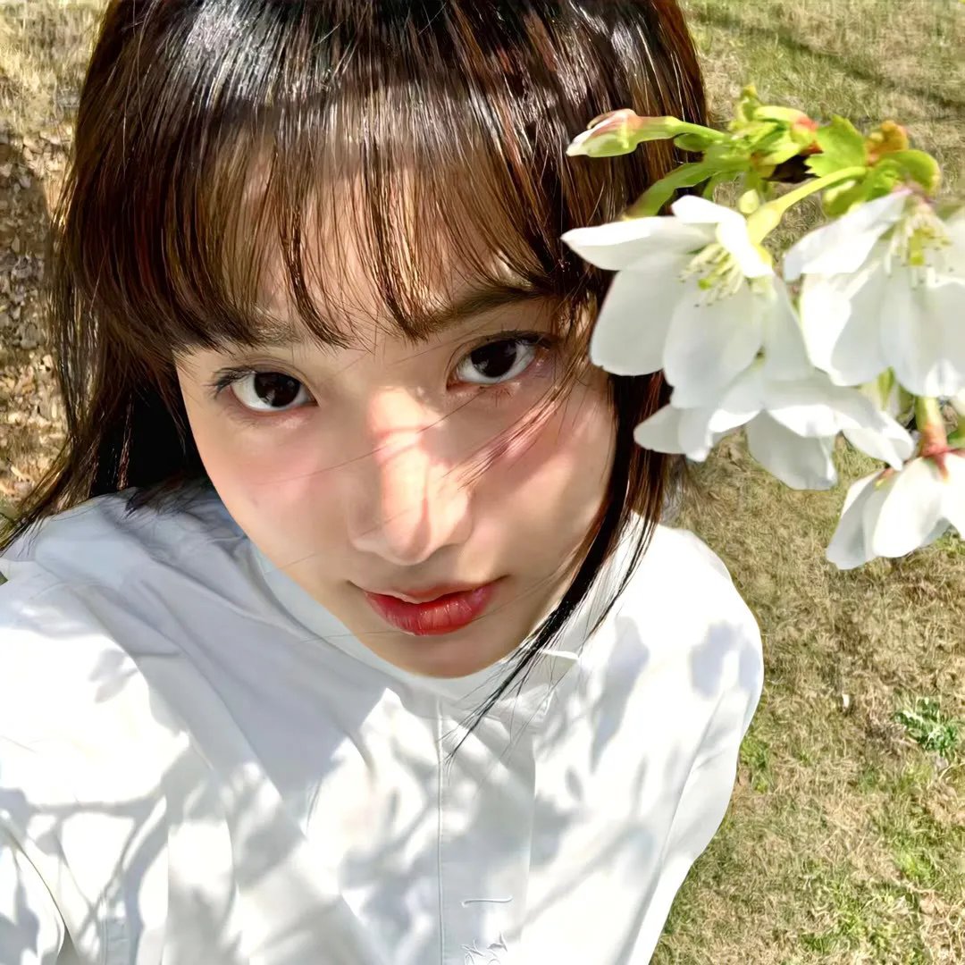 天宝伏妖录第二季